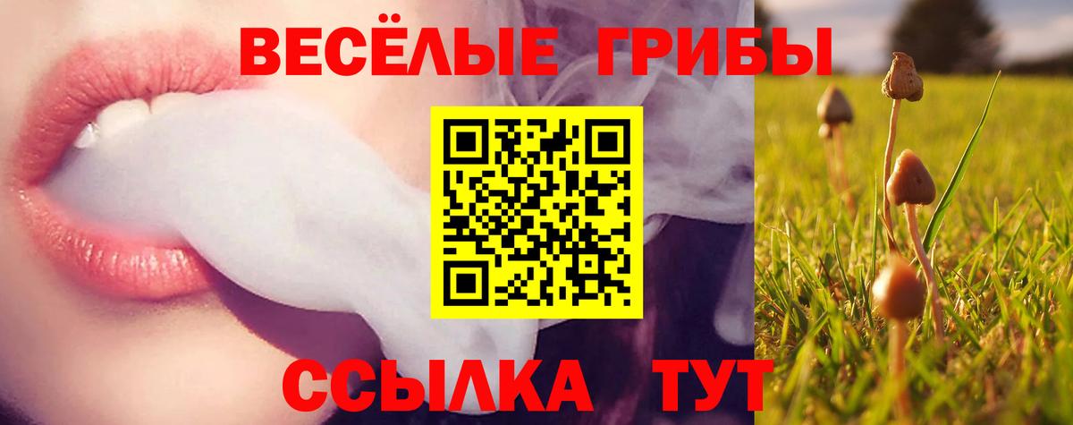 Псилоцибиновые грибы Magic Shrooms  Галлюциногенные грибы Magic Shrooms  Тамбов  Вход с VPN 